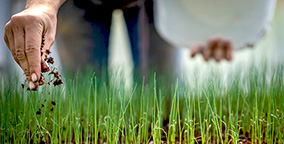 producer hand in dirt field