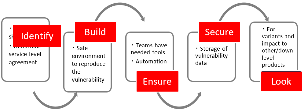 Vulnerability Verification/Reproduction