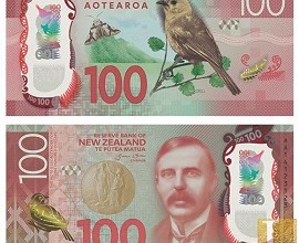 $100 Note