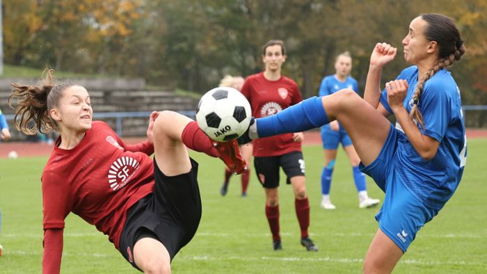 Fußball-Regionalliga: Ausgleichstreffer gibt dem FFC Hof den Knacks