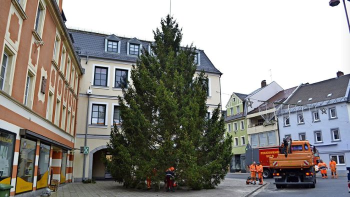 Freude in Selb: Der Weihnachtsbaum ist da