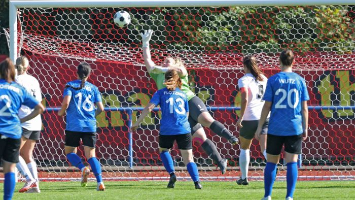 Fußball-Regionalliga: Der FFC Hof zwischen Mut und Verzweiflung