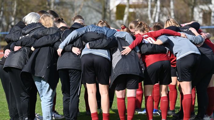 Fußball-Regionaliga Süd: Schafft der FFC Hof den Klassenerhalt?