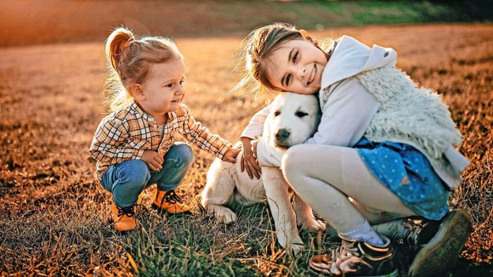 Kind und Hund: Ein starkes Team für die Entwicklung