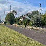 The area in front of 8 Mount Pleasant, which is covered by shrubbery