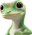 gecko