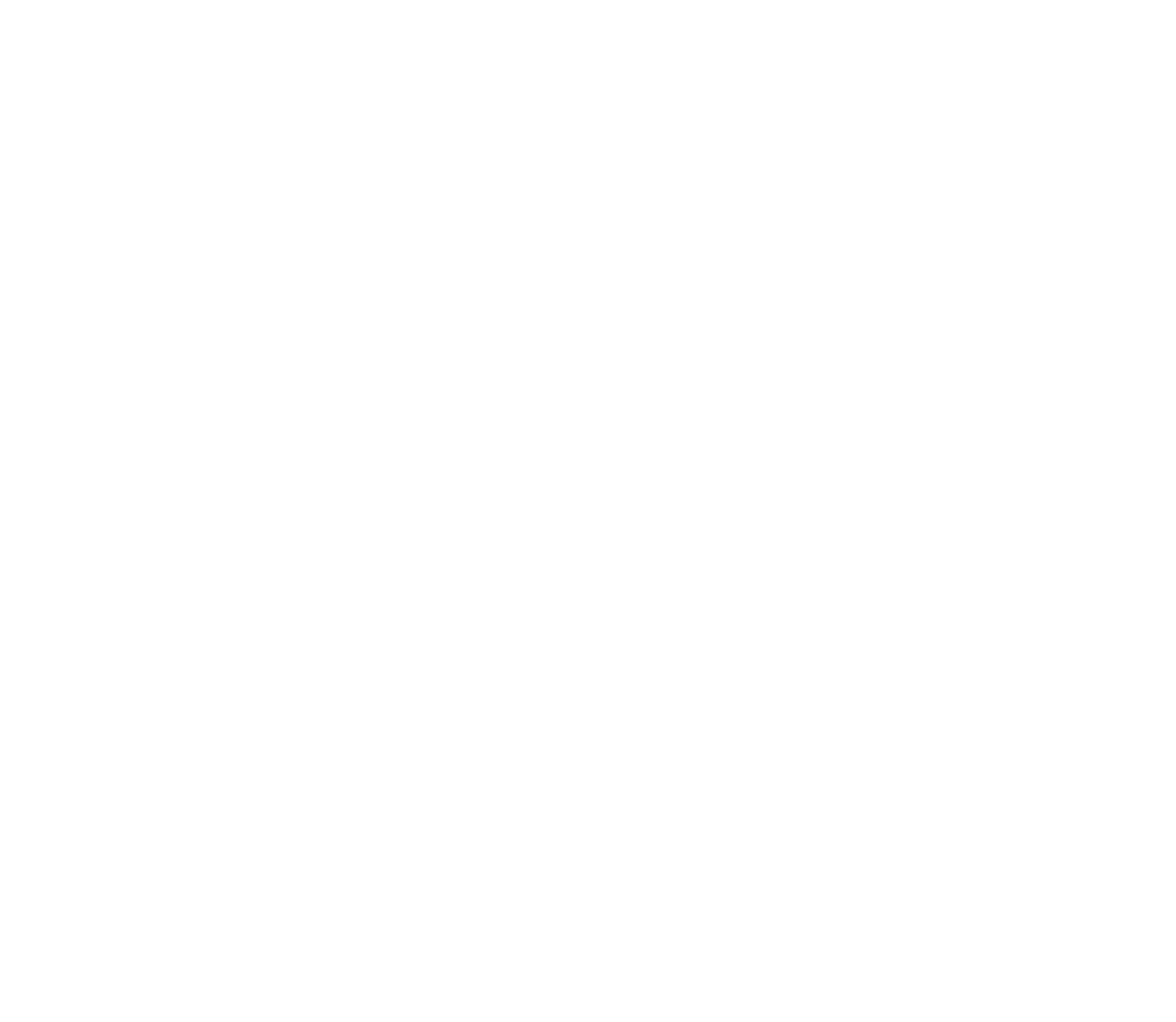 NEVO