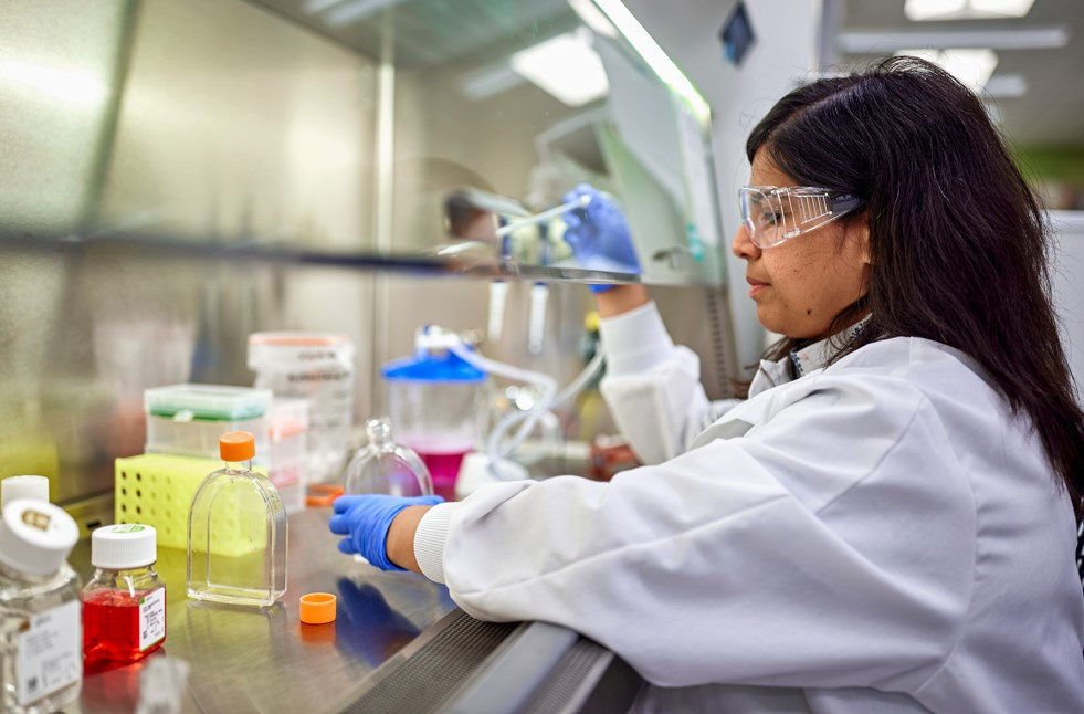 An AbbVie scientist at work in the lab