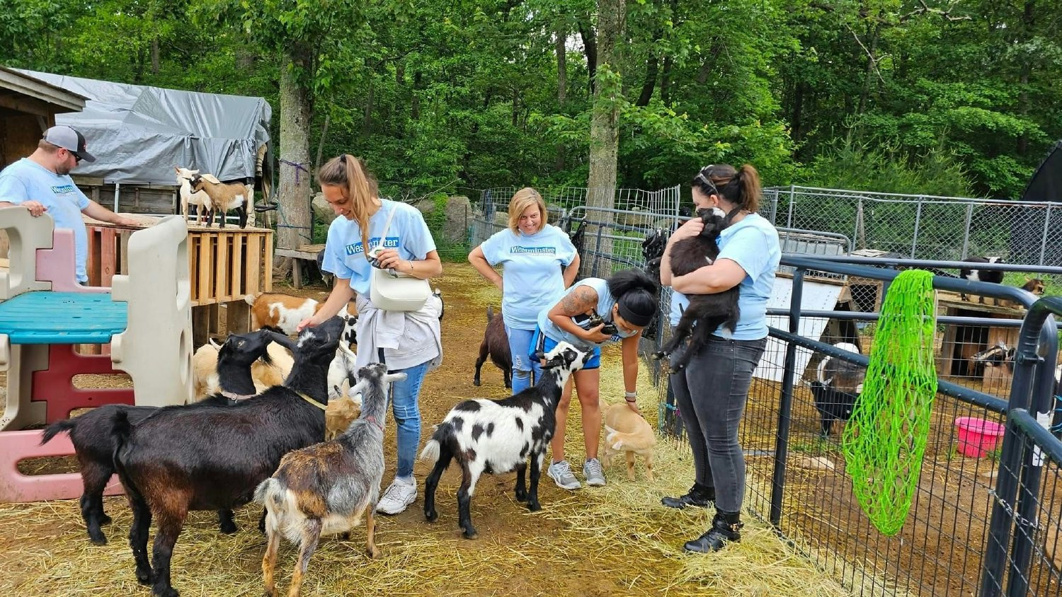 Helping with the animals at Dare to Dream Ranch.