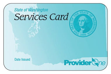 ProviderOne services card