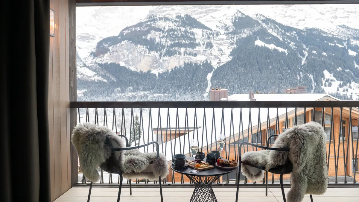 Two shares on a terrace overlooking a snow-covered mountain.