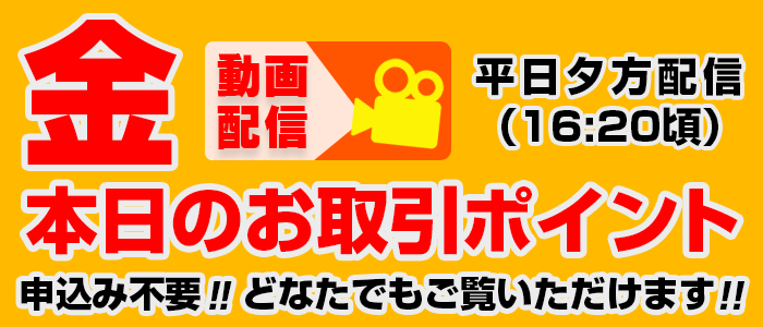 【動画配信】貴金属 本日のお取引のポイント