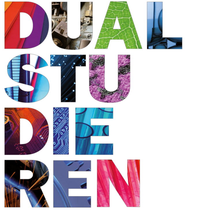 Logo Dual Studieren