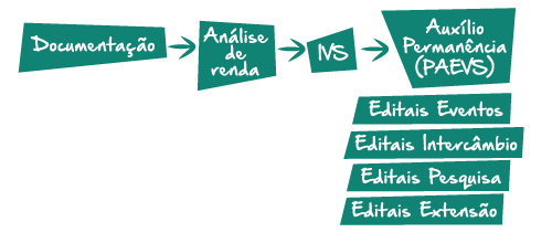 Infográfico com as etapas de solicitação do PAEVS