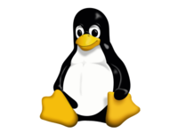 Linux Kernel