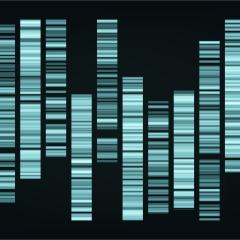 Genomic style pattern. Image by pikepicture via Shutterstock