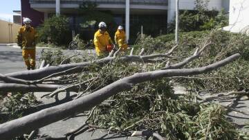 The Mercury on September 6, 2010: Wild winds lash the Illawarra