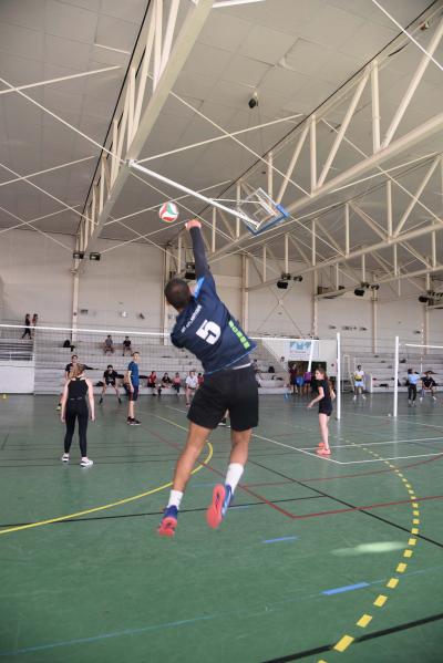 Volley