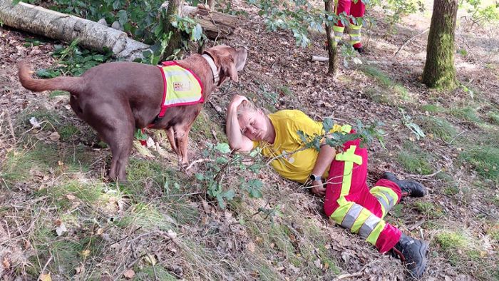 Fotoreportage: Ein Training mit  Rettungshunden