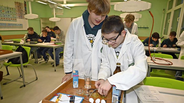 Regelschule Floh: Da geht so manchem  ein Licht auf