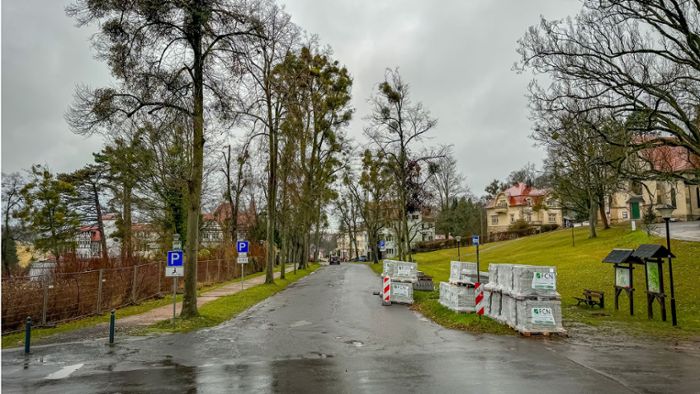 Millionen-Projekt in Bad Liebenstein: Esplanade soll autofreie Zone werden