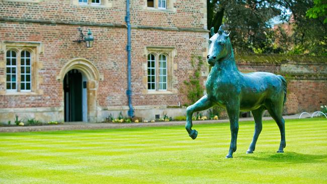 Barry Flanagan's Bronze Horse (1983)