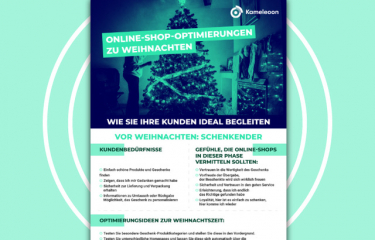 Shop Optimierung Weihnachten