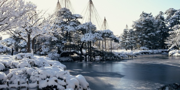 兼六園と雪吊り