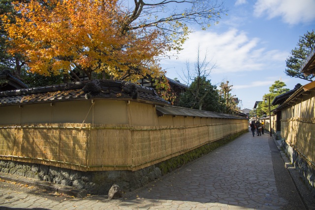 こも掛けと紅葉のコラボ