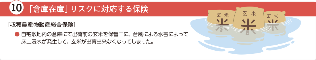 「倉庫在庫」リスクに対応する保険（収穫農産物動産総合保険）