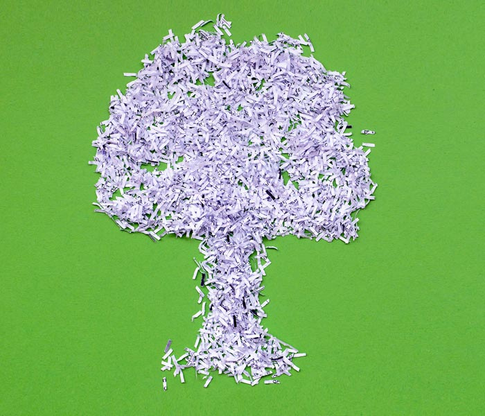 Tree made of white shredded paper on green backdrop