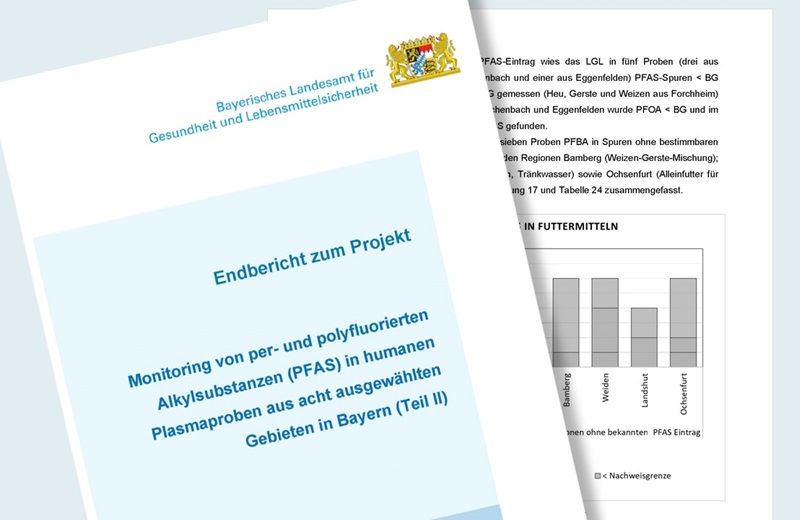 Seiten aus dem PFAS-Bericht