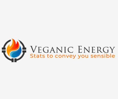 Engineering Logo - Veganic Energy