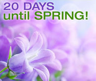 20 Days Until Spring