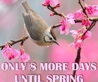 18 More Days Until Spring