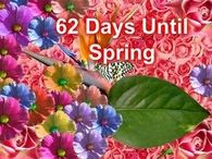 62 Days Till Spring