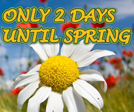 Only 2 Days Until Spring