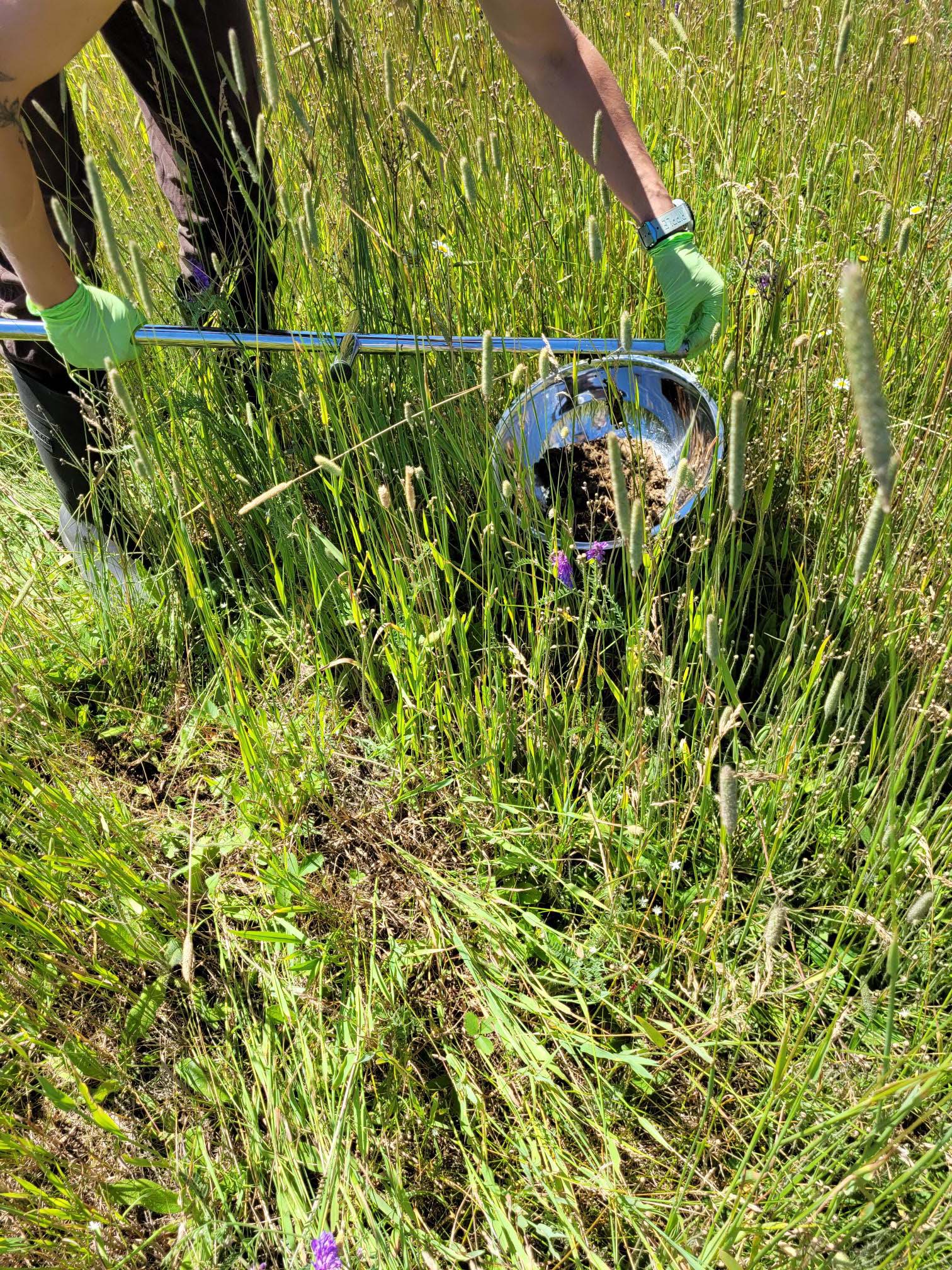 DEP Staff sampling soils for PFAS