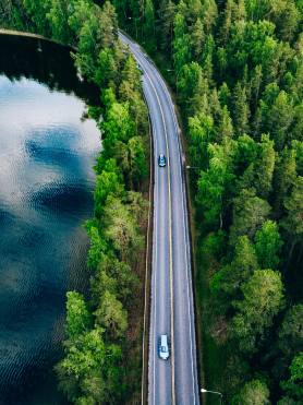 Long road surrounded by green