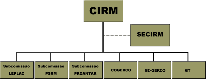 imagem representa o organograma da CIRM