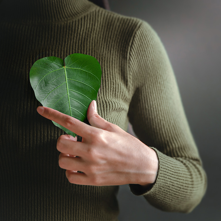 Green Energy, Renewable and Sustainable Resources. Environmental and Ecology Care Concept. Close up of Hand Holding a Heart Shape Green Leaf on Chest