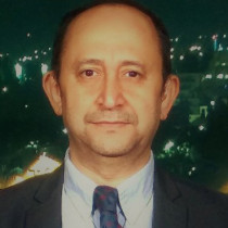 Meir Javedanfar