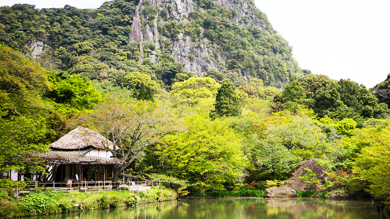 昼 / 20万株杜鹃花编织成花的地毯