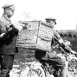 WW1 motorcycle despatch rider