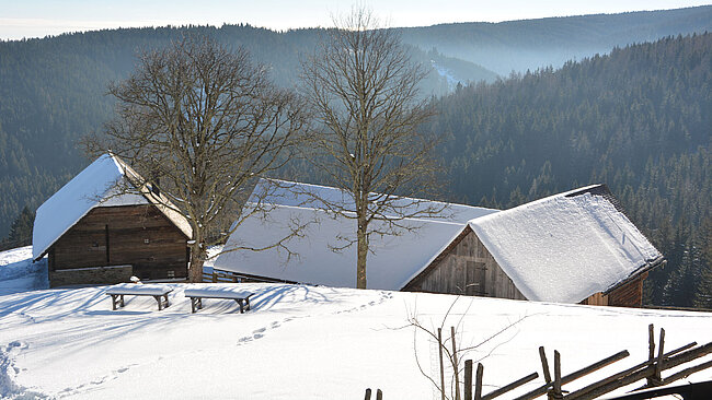 Peter Roseggers Geburtshaus Kluppeneggerhof am Alpl im Winter