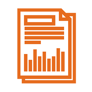 document icon