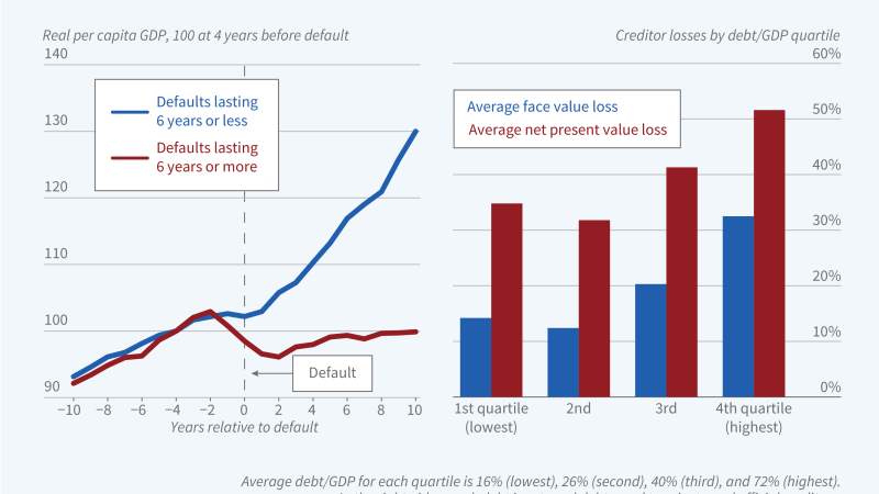 The Costs of Sovereign Debt Crises figure