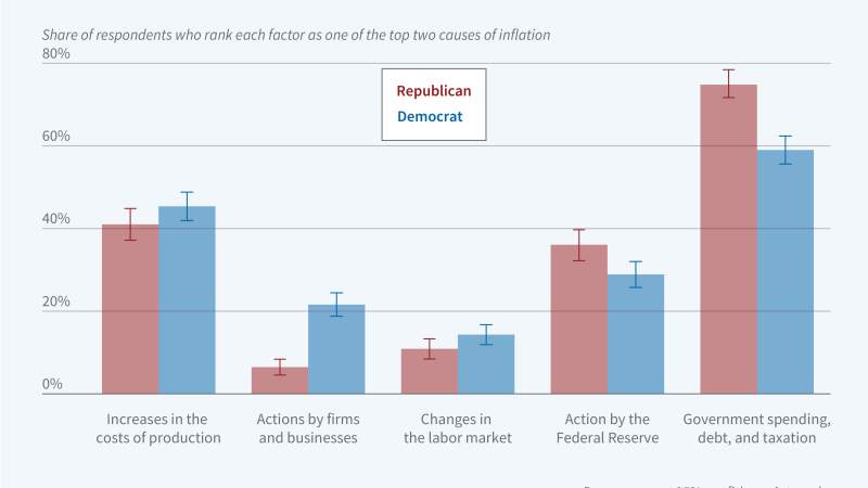 Public Beliefs about Inflation