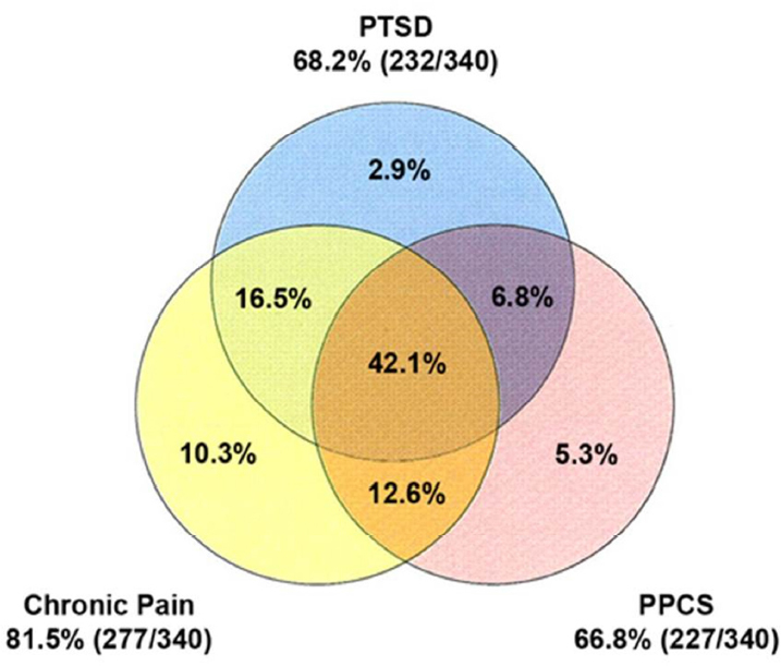 FIGURE 2-2. Overlapping symptoms following mild traumatic brain injury (TBI).