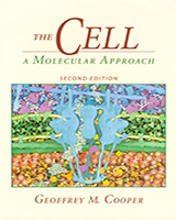 Cover of The Cell